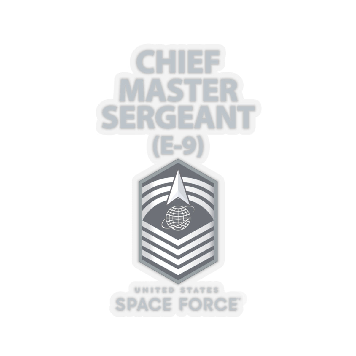Space Force Senior Master Sergeant (E8)