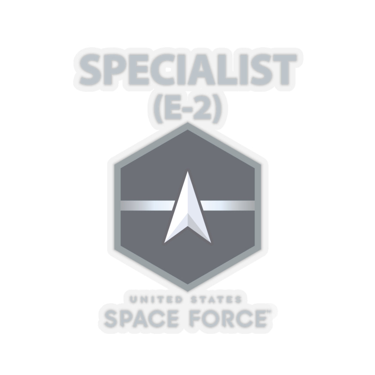 Kiss-Cut Sticker - USSF - E2 Specialist - US Space Force