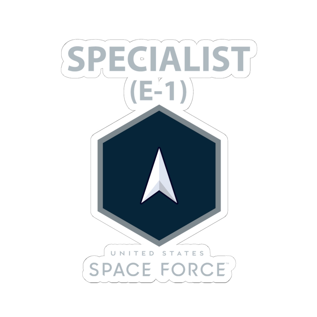 Kiss-Cut Sticker -  USSF - E1 Specialist - US Space Force X 300