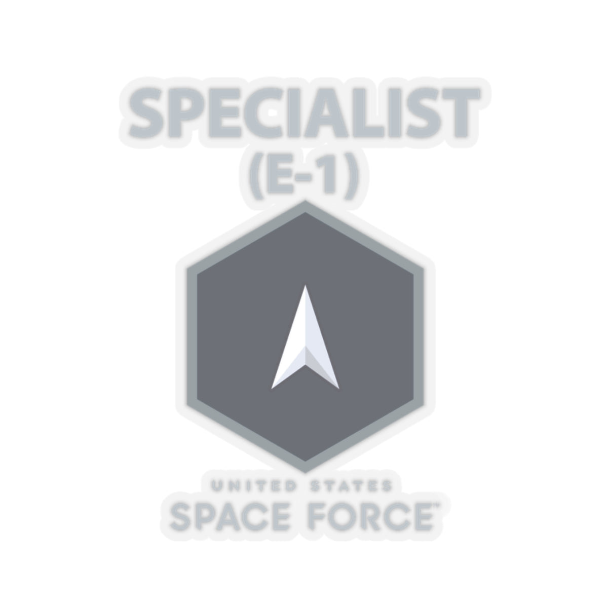 Kiss-Cut Sticker -  USSF - E1 Specialist - US Space Force X 300