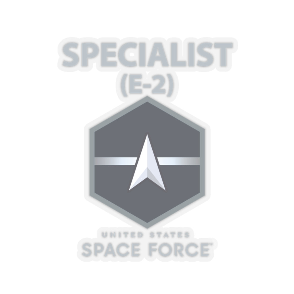 Kiss-Cut Sticker - USSF - E2 Specialist - US Space Force