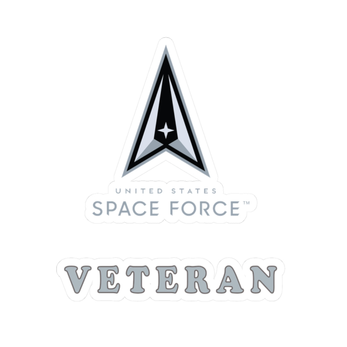 Kiss-Cut Sticker - USSF - Space Force - Veteran