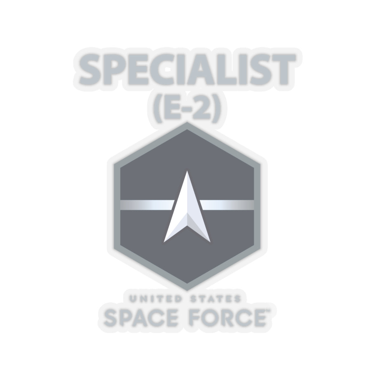 Kiss-Cut Sticker - USSF - E2 Specialist - US Space Force