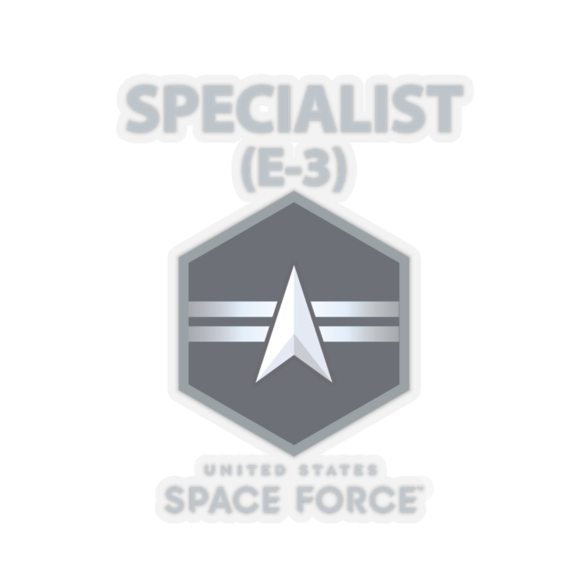 Kiss-Cut Sticker - USSF - E3 Specialist - US Space Force