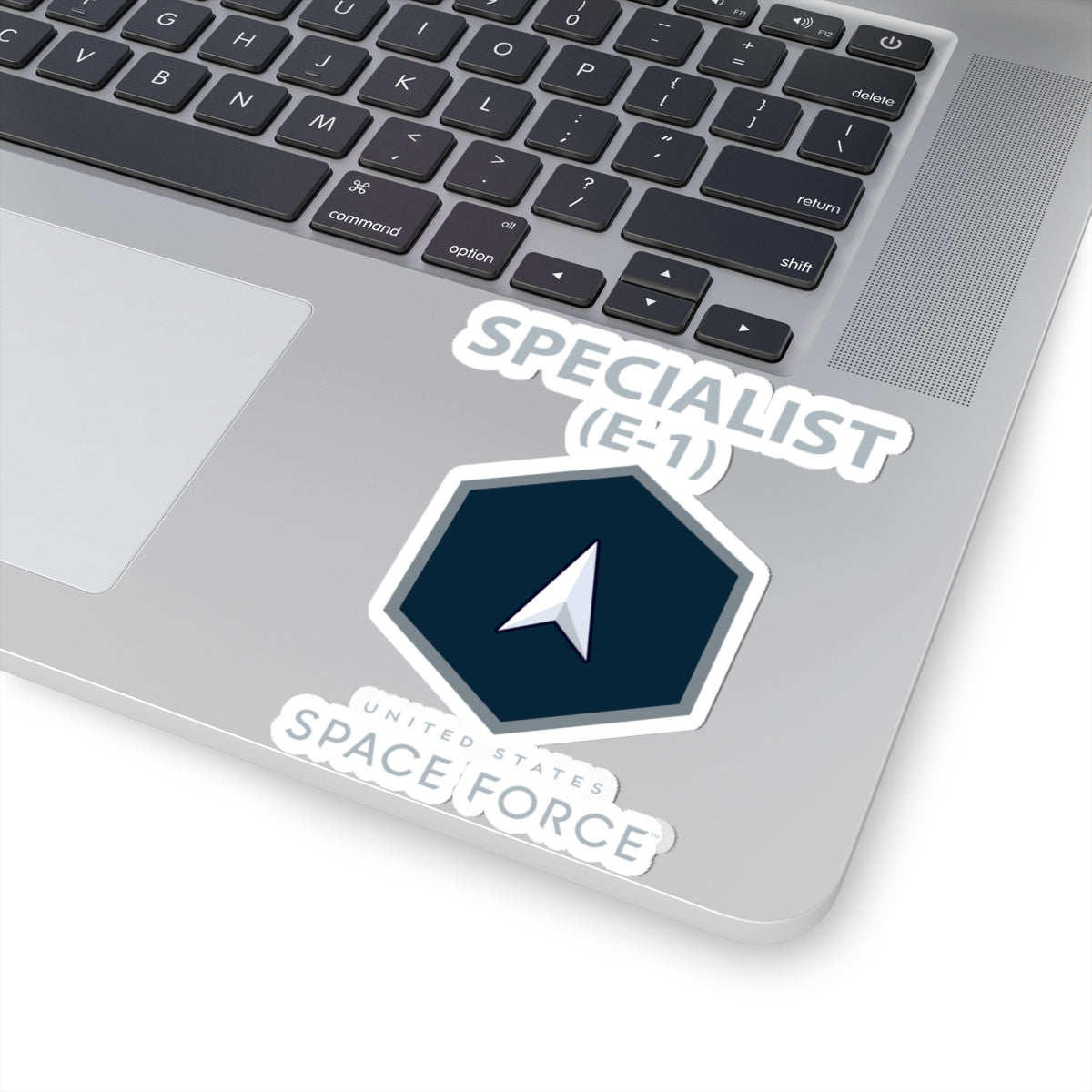 Kiss-Cut Sticker -  USSF - E1 Specialist - US Space Force X 300