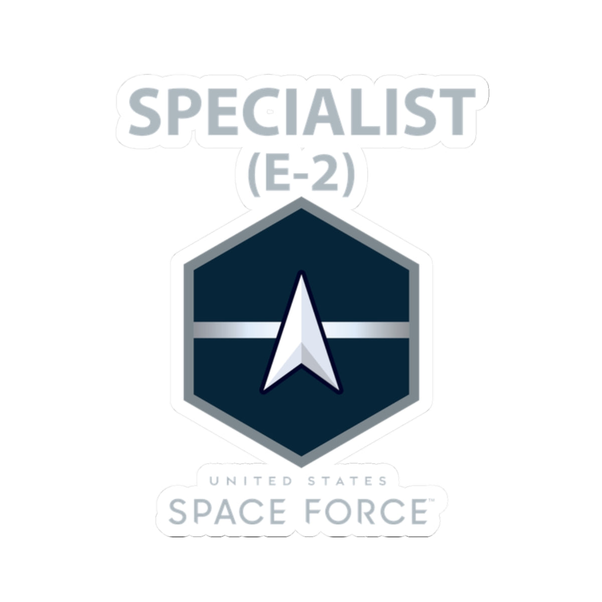 Kiss-Cut Sticker - USSF - E2 Specialist - US Space Force