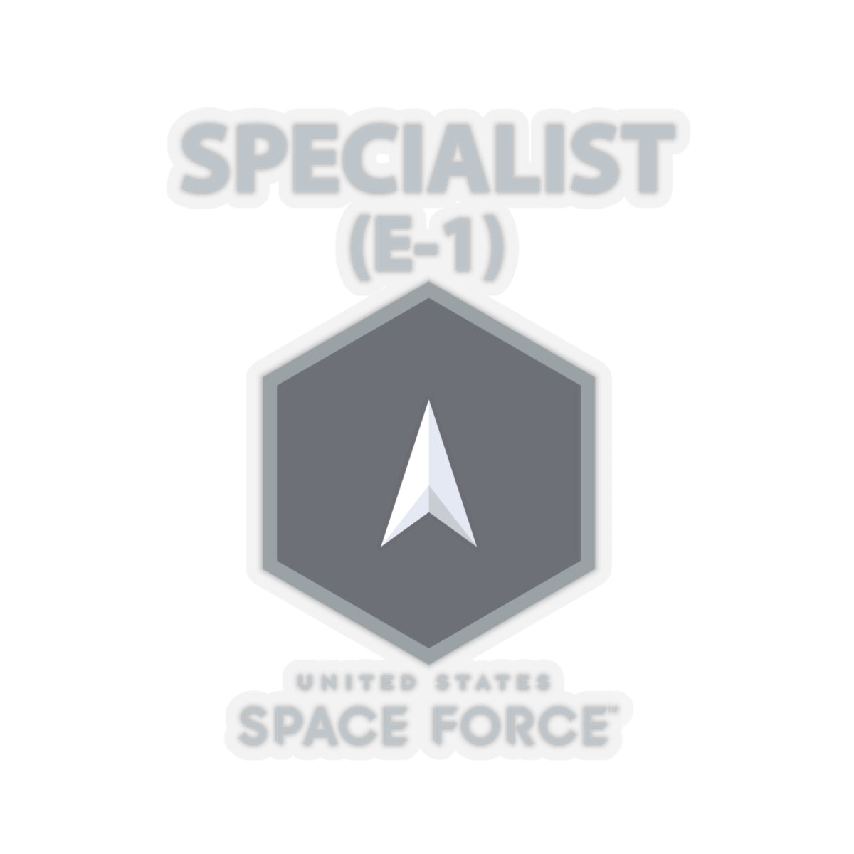 Kiss-Cut Sticker -  USSF - E1 Specialist - US Space Force X 300