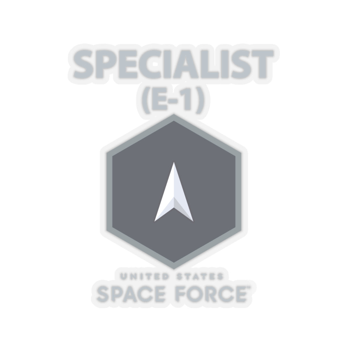 Kiss-Cut Sticker -  USSF - E1 Specialist - US Space Force X 300