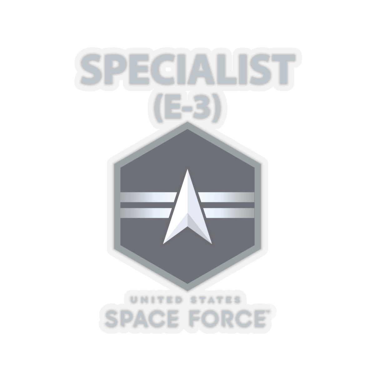 Kiss-Cut Sticker - USSF - E3 Specialist - US Space Force