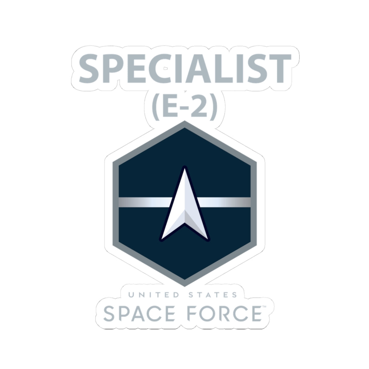Kiss-Cut Sticker - USSF - E2 Specialist - US Space Force
